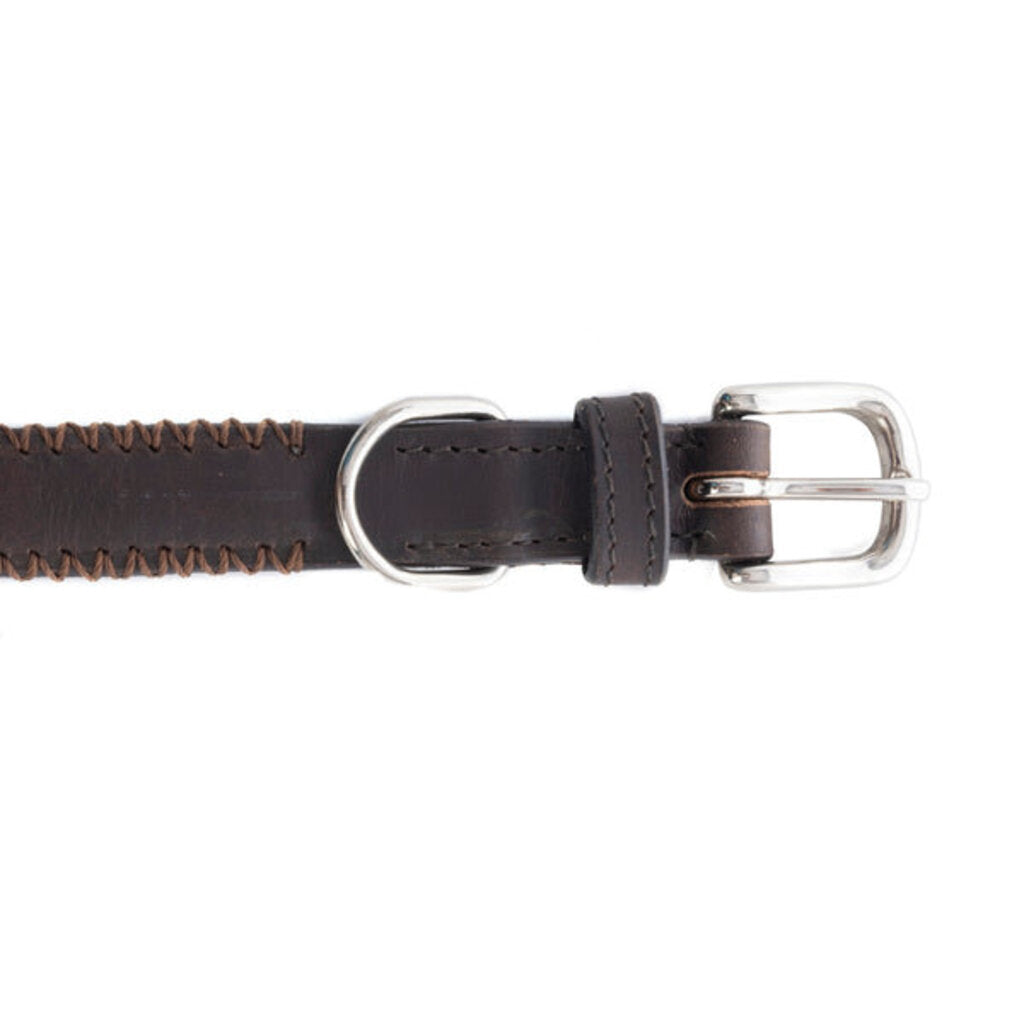 Rio Correr Leather Dog Collar in Chocolate S-10641 LG