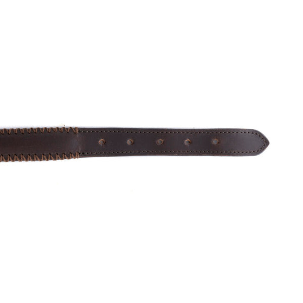 Rio Correr Leather Dog Collar in Chocolate S-10641 SM