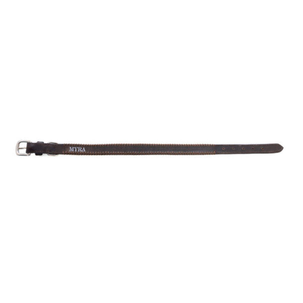 Rio Correr Leather Dog Collar in Chocolate S-10641 MD