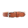Rio Correr Leather Dog Collar in Caramel S-10639 MD