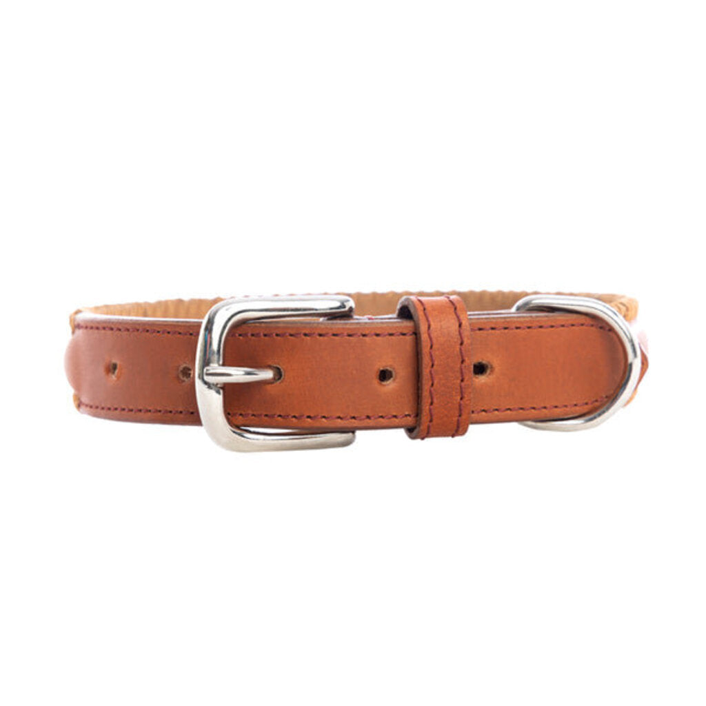 Rio Correr Leather Dog Collar in Caramel S-10639 SM