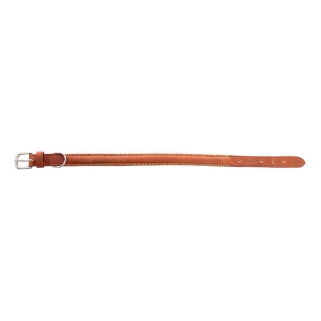 Rio Correr Leather Dog Collar in Caramel S-10639 SM